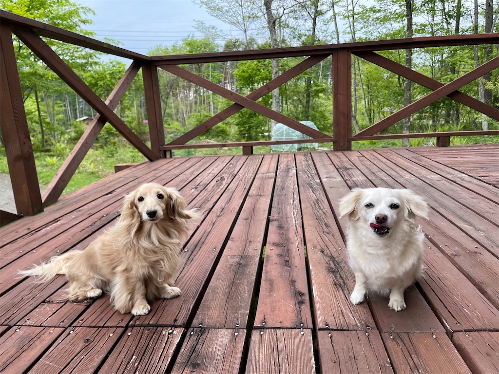 f:id:captaindog082:20210524172719j:image