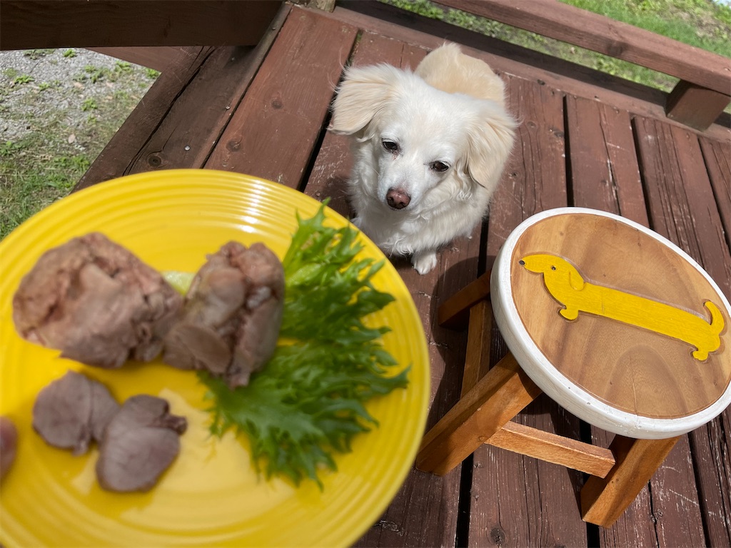 f:id:captaindog082:20210525105317j:image