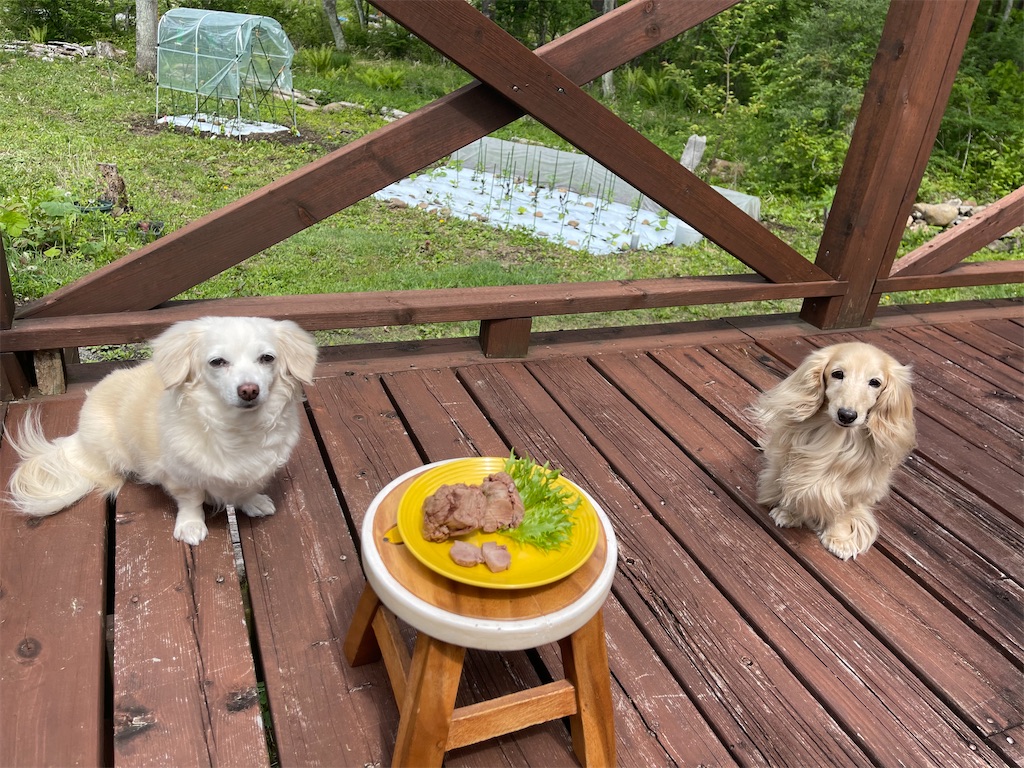 f:id:captaindog082:20210525105321j:image