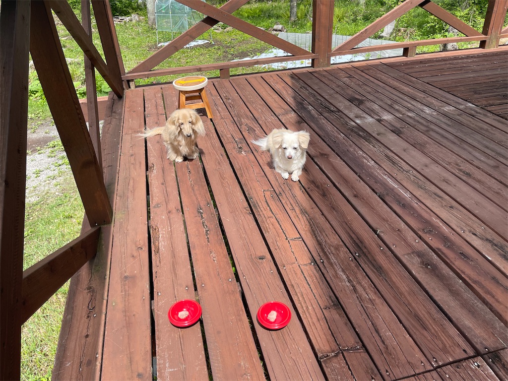 f:id:captaindog082:20210525105324j:image