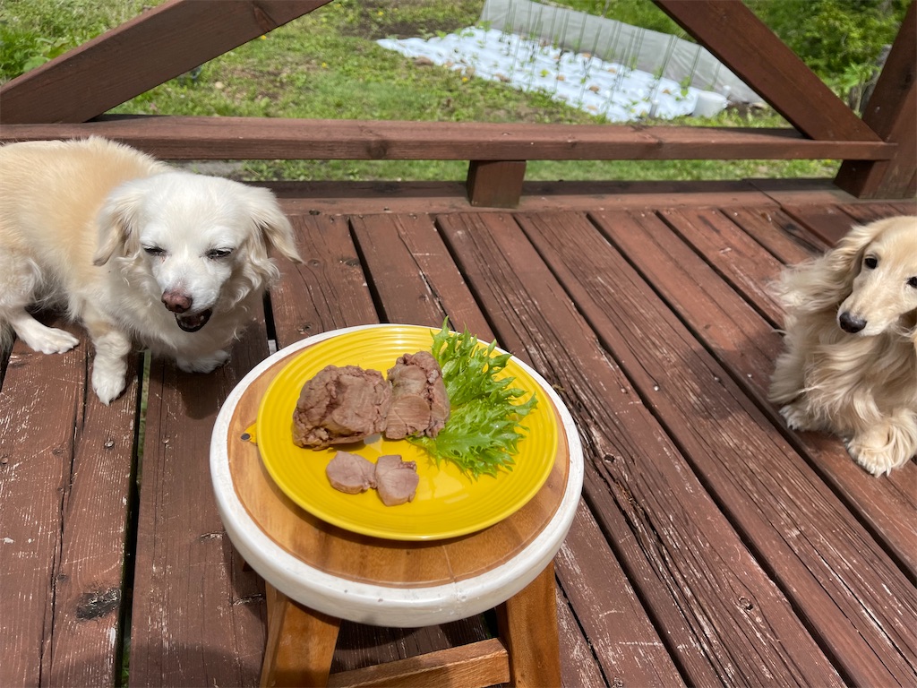 f:id:captaindog082:20210525105332j:image