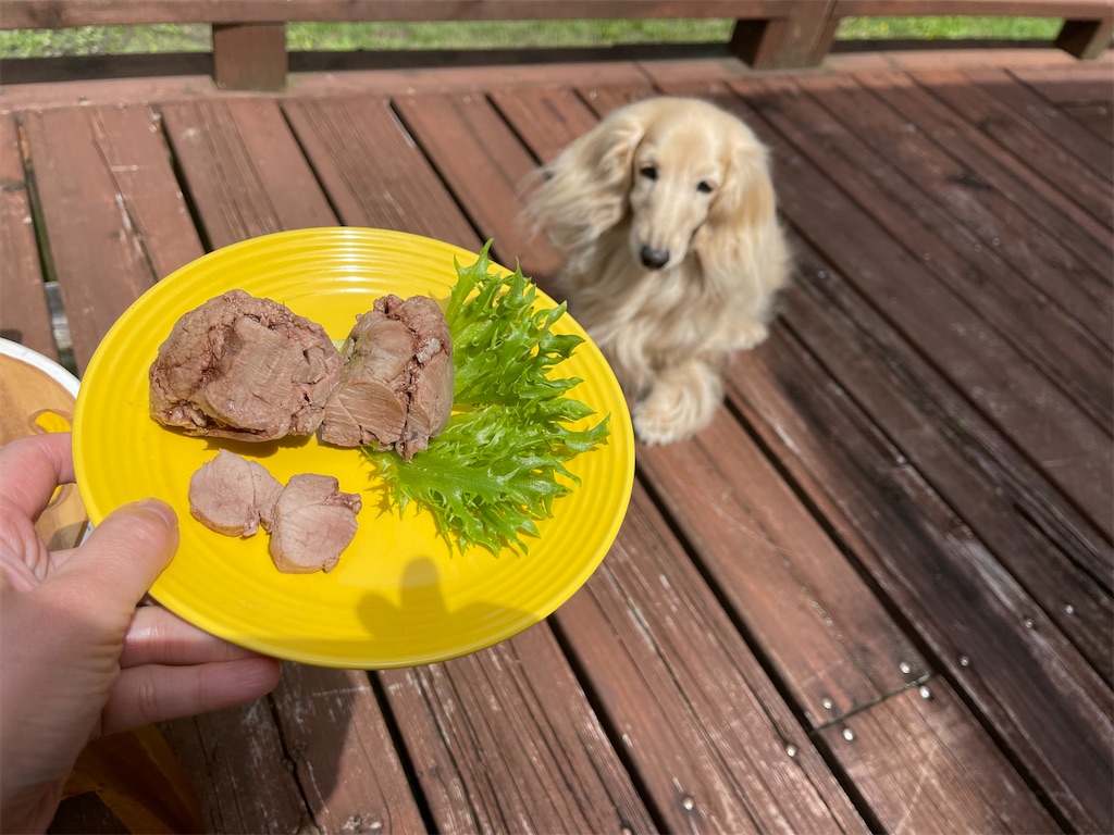 f:id:captaindog082:20210525105347j:image