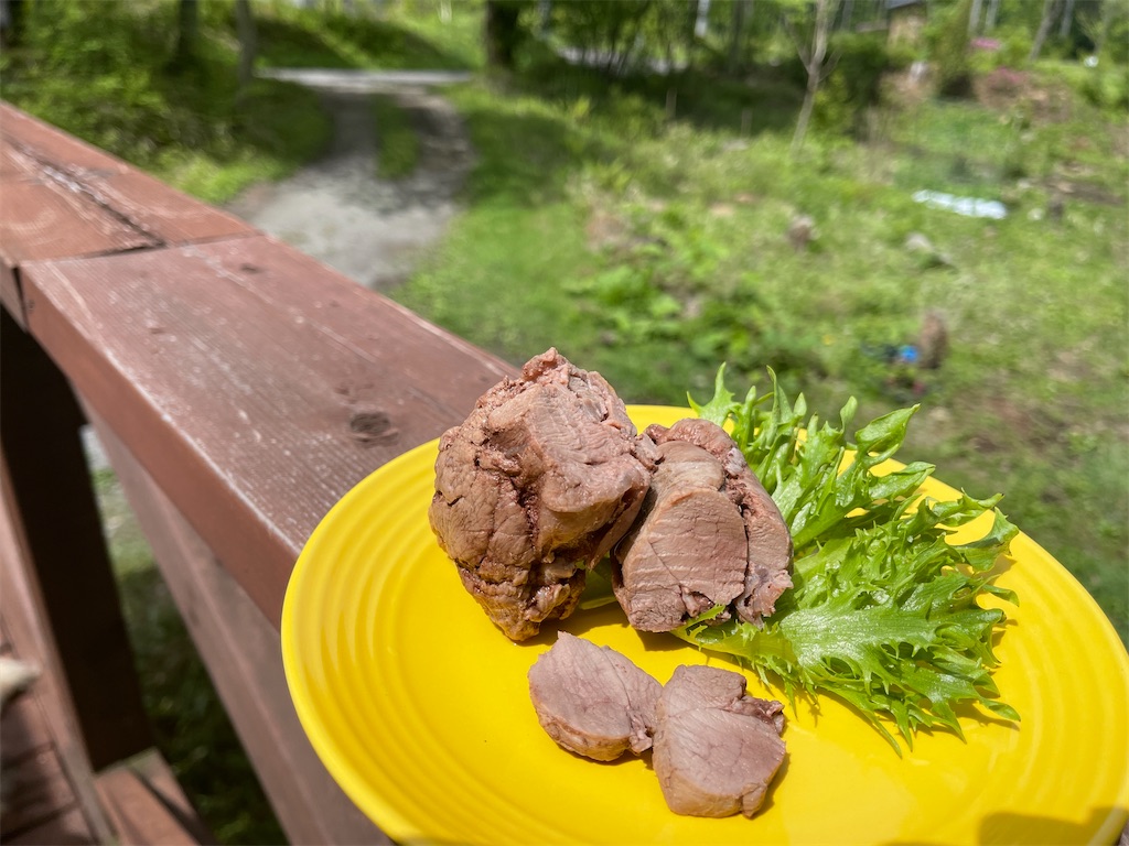 f:id:captaindog082:20210525105507j:image