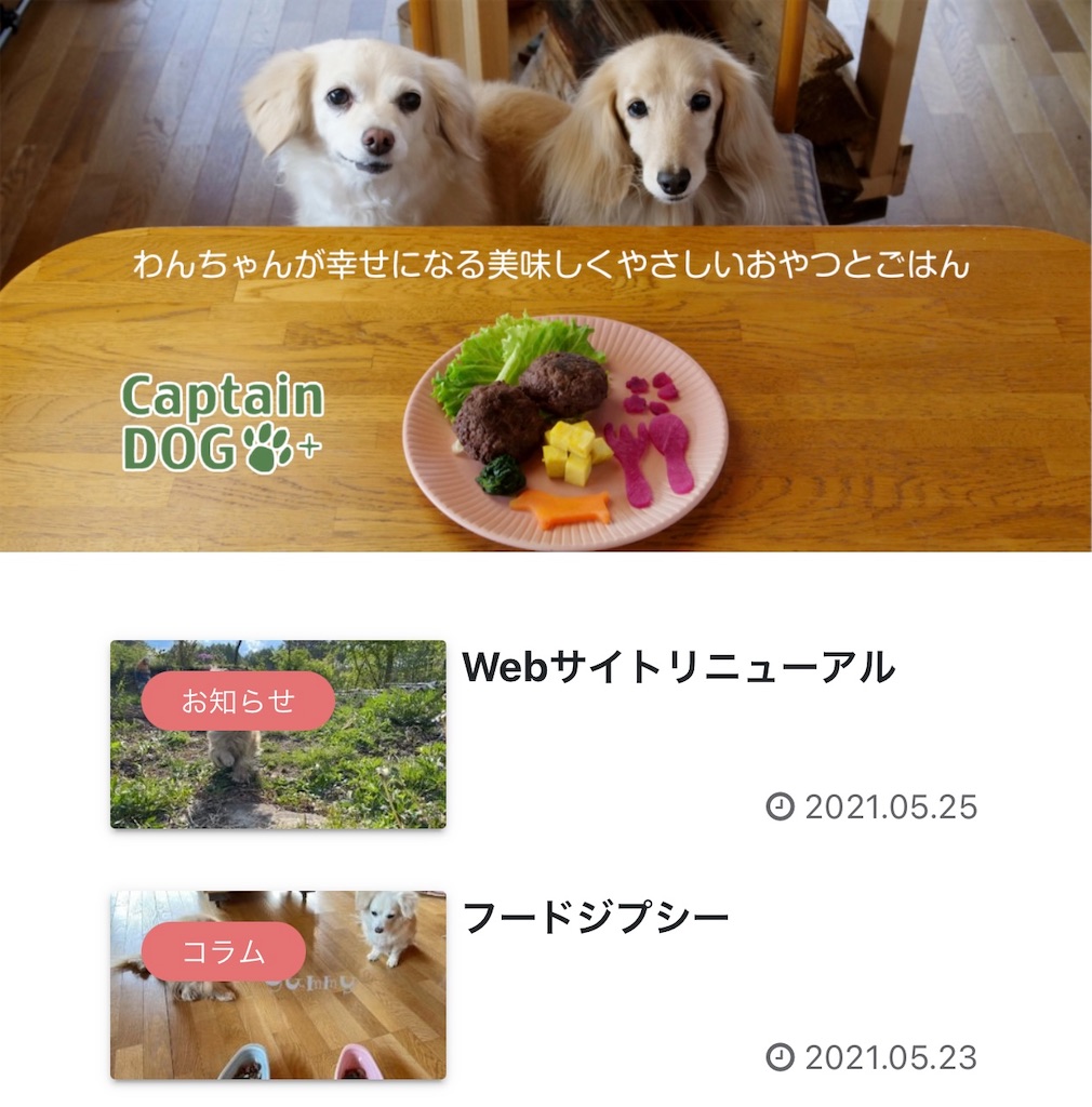 f:id:captaindog082:20210525170320j:image