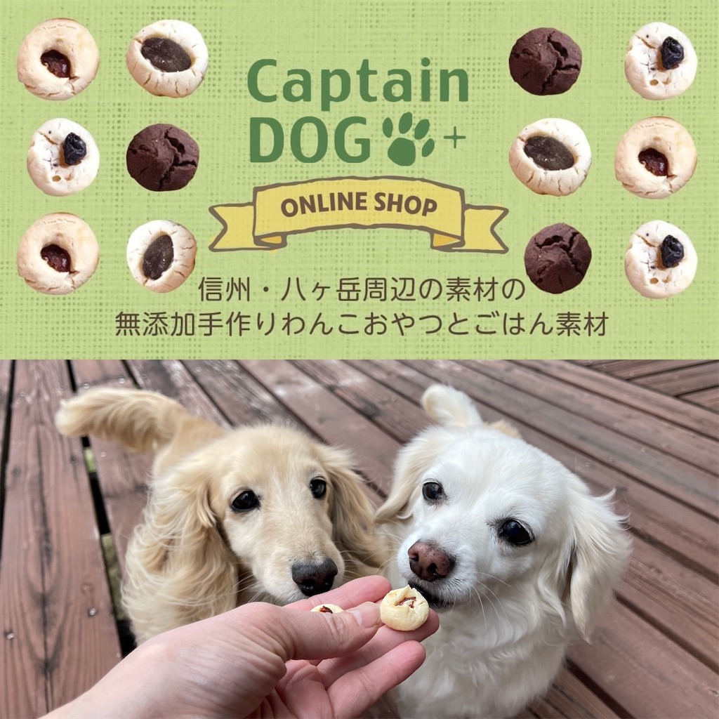 f:id:captaindog082:20210525170354j:image