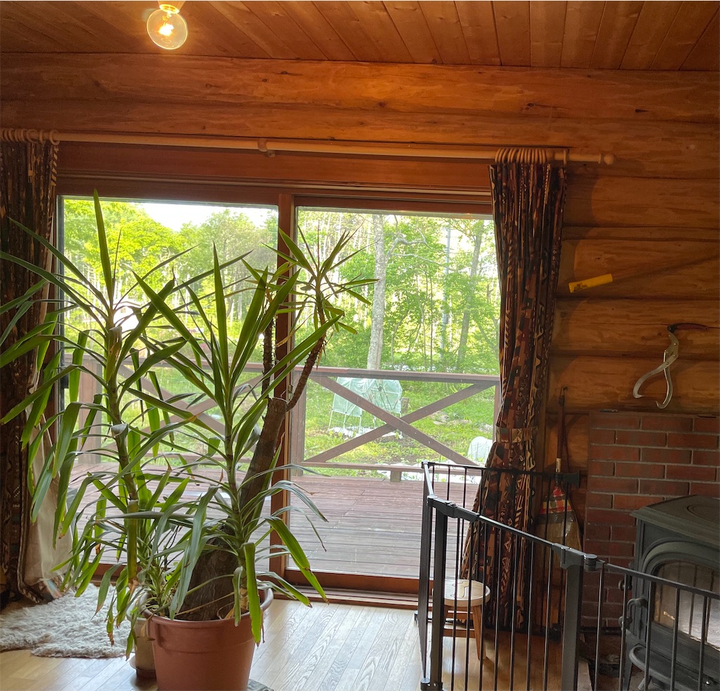 f:id:captaindog082:20210526095702j:image