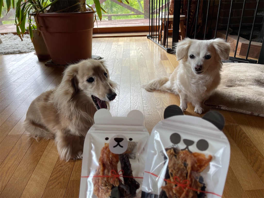 f:id:captaindog082:20210528191229j:image