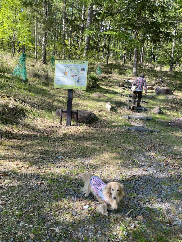 f:id:captaindog082:20210530175106j:image