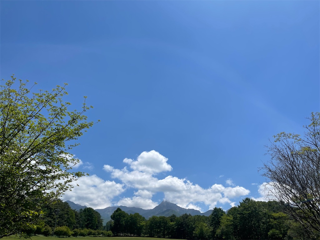 f:id:captaindog082:20210601120710j:image