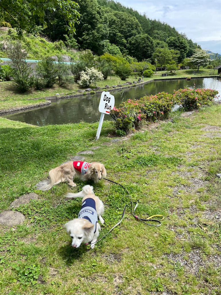 f:id:captaindog082:20210606155723j:image