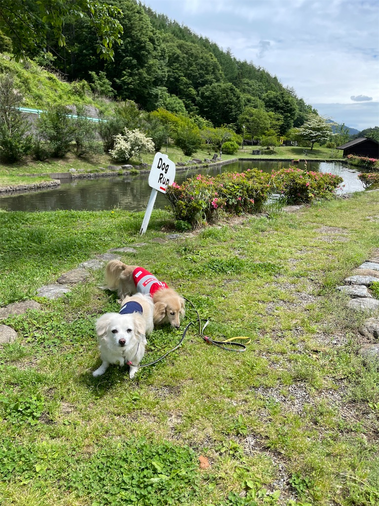 f:id:captaindog082:20210606155730j:image