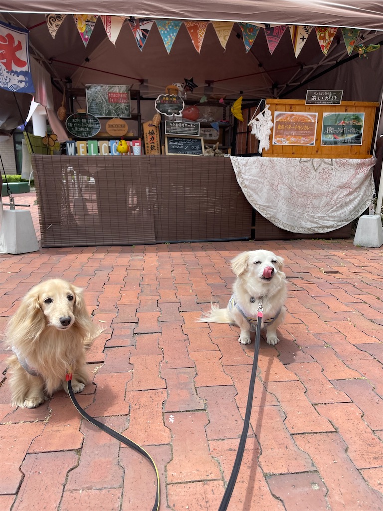 f:id:captaindog082:20210612224000j:image