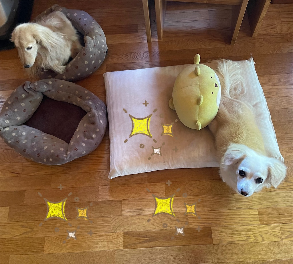 f:id:captaindog082:20210615224227j:image
