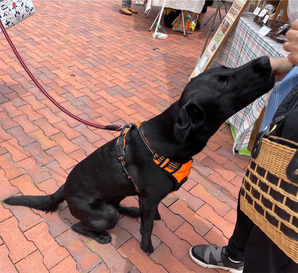 f:id:captaindog082:20210620212029j:image