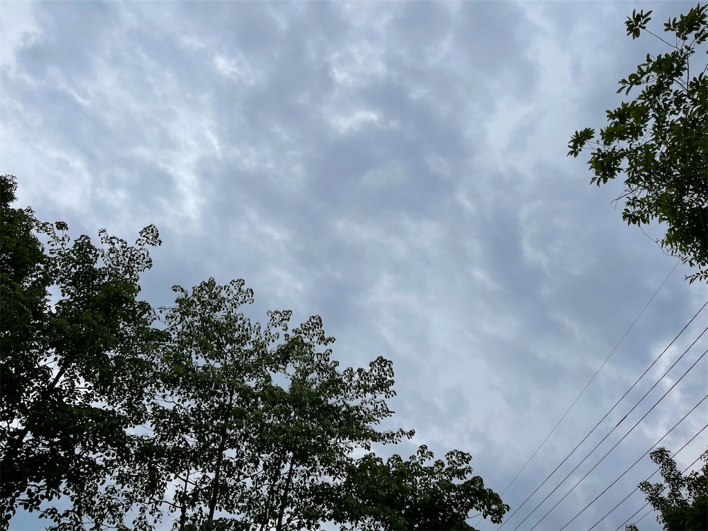 f:id:captaindog082:20210622234717j:image