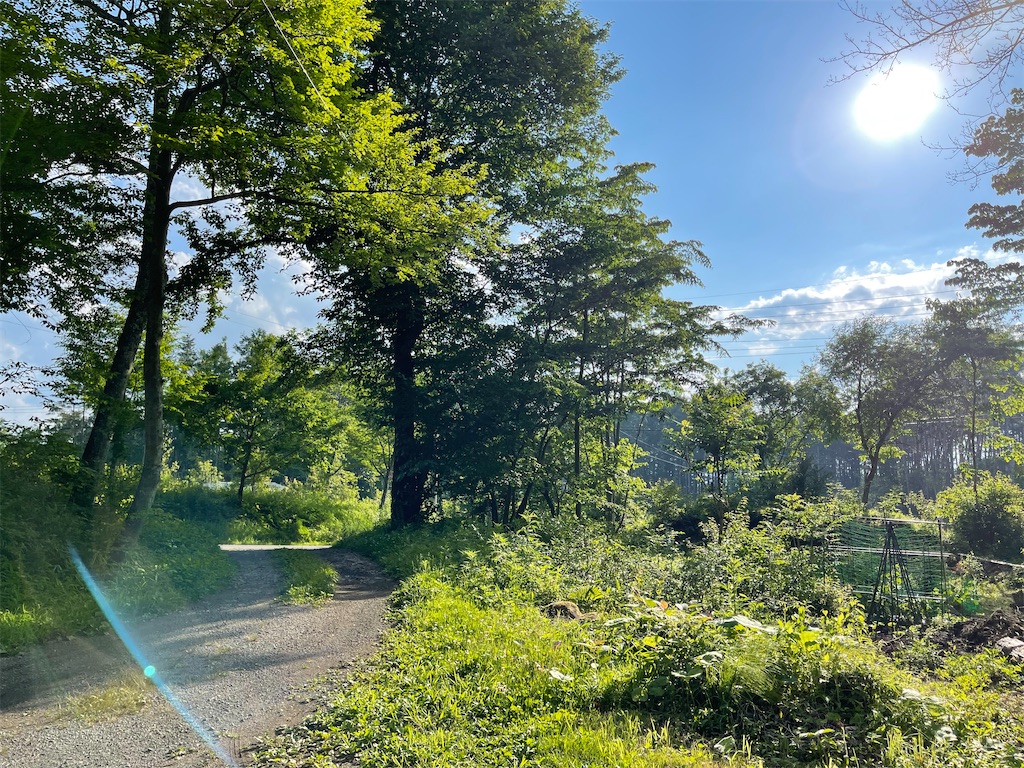 f:id:captaindog082:20210624172430j:image