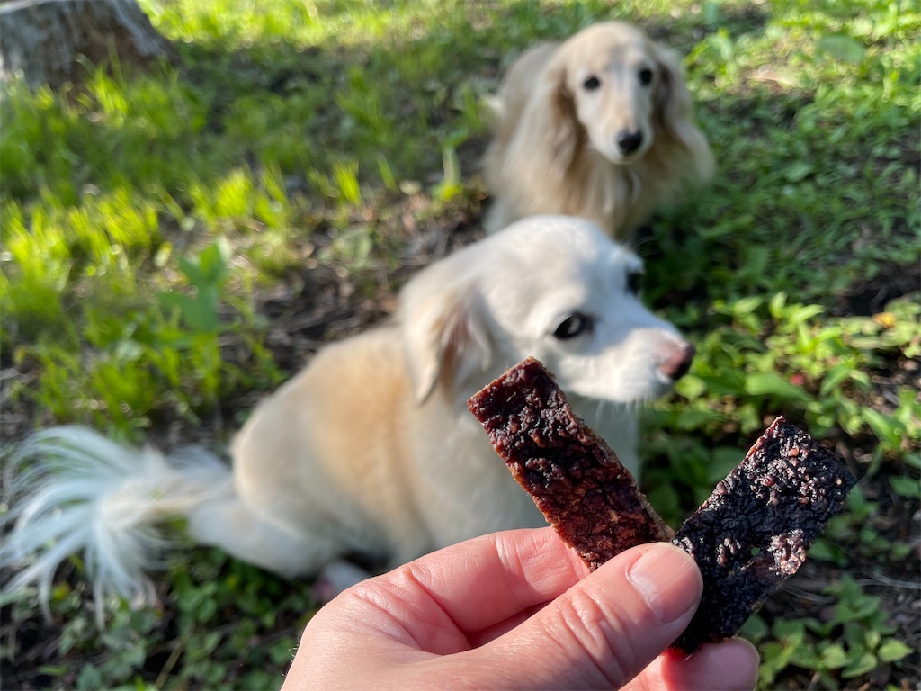 f:id:captaindog082:20210624172455j:image