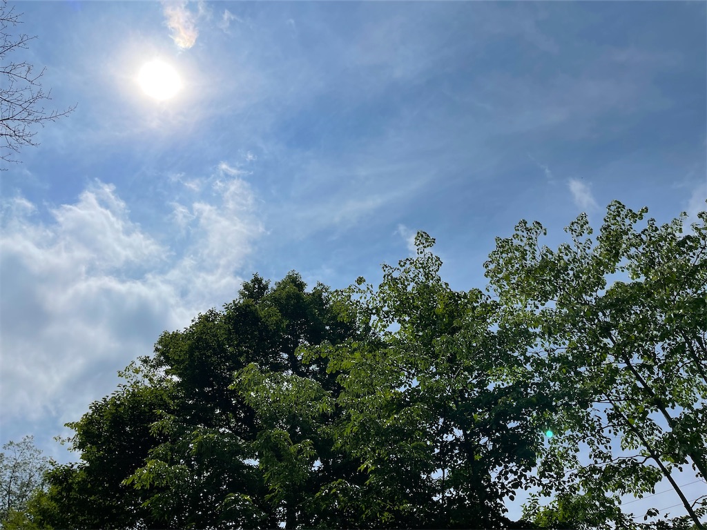 f:id:captaindog082:20210628214827j:image