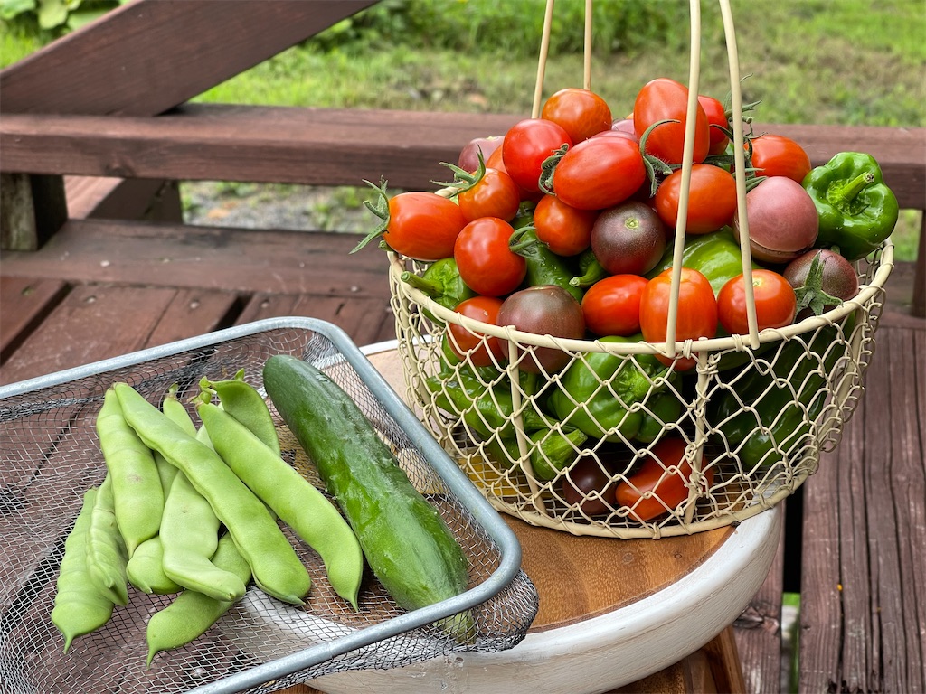 f:id:captaindog082:20210825202422j:image