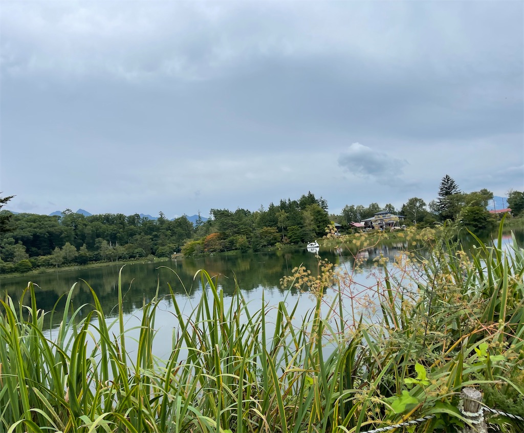 f:id:captaindog082:20210912154507j:image f:id:captaindog082:20210912154507j:image