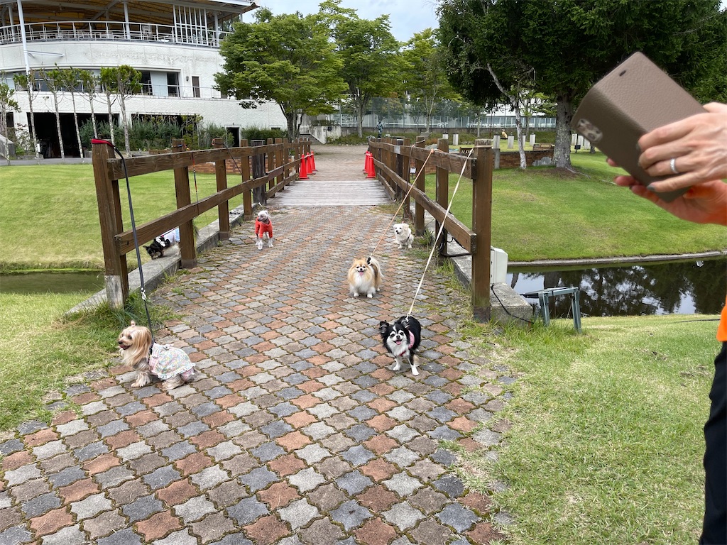 f:id:captaindog082:20210912154515j:image f:id:captaindog082:20210912154515j:image