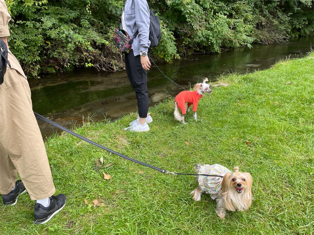 f:id:captaindog082:20210912154517j:image f:id:captaindog082:20210912154517j:image