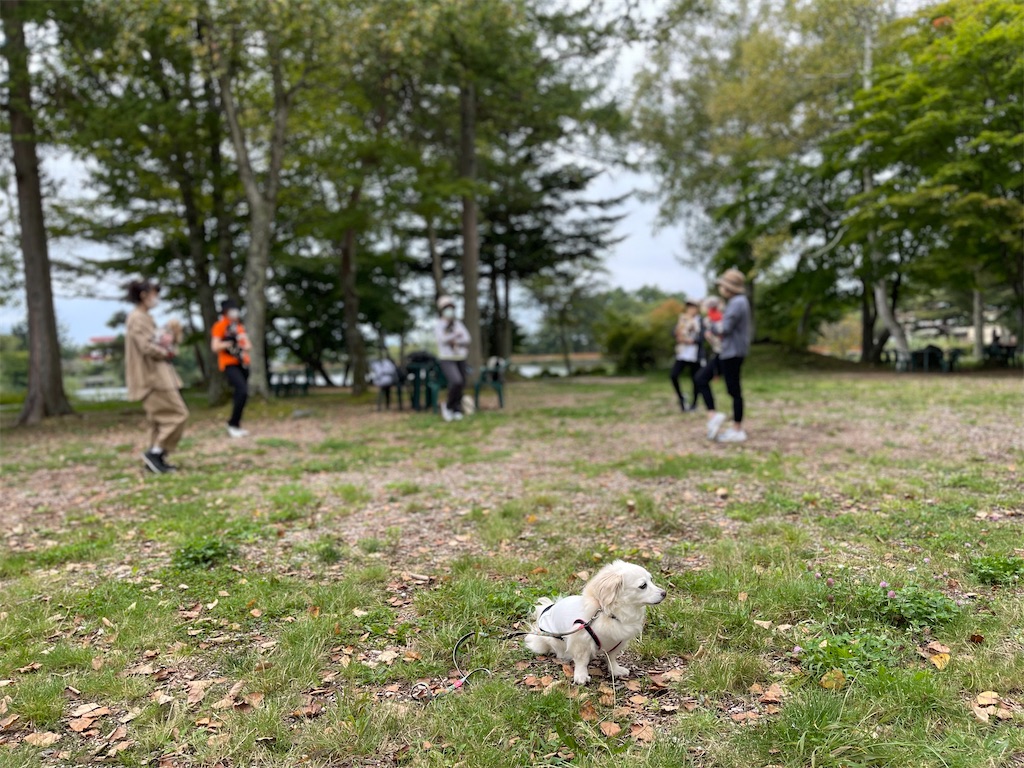 f:id:captaindog082:20210912154520j:image f:id:captaindog082:20210912154520j:image