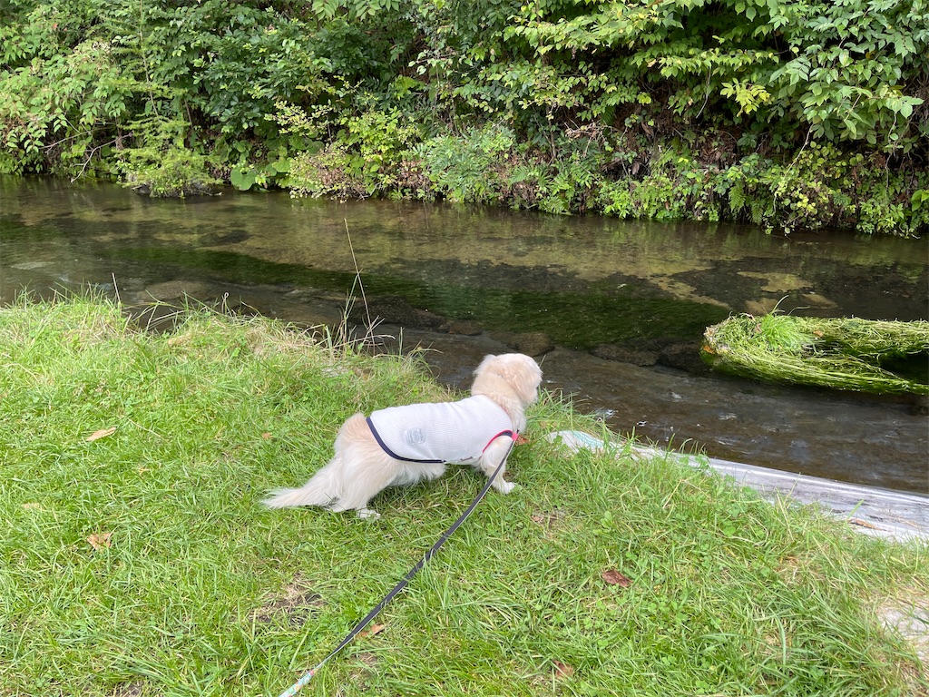 f:id:captaindog082:20210912154527j:image f:id:captaindog082:20210912154527j:image