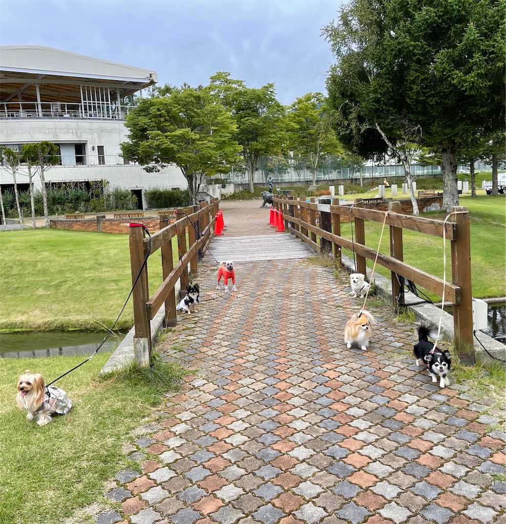 f:id:captaindog082:20210912154530j:image f:id:captaindog082:20210912154530j:image