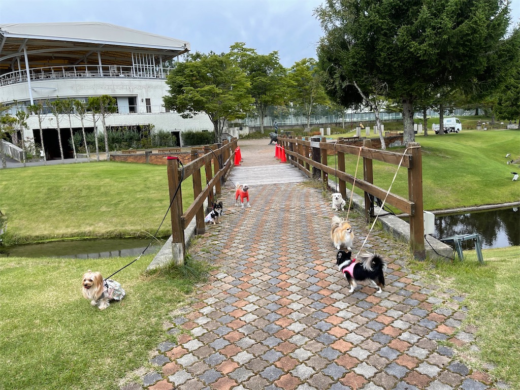 f:id:captaindog082:20210912154547j:image f:id:captaindog082:20210912154547j:image