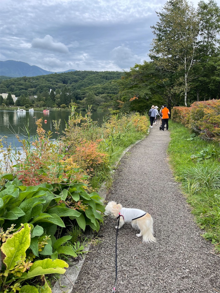 f:id:captaindog082:20210912154550j:image f:id:captaindog082:20210912154550j:image