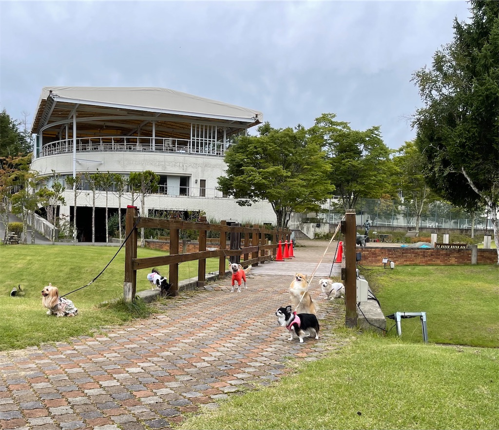 f:id:captaindog082:20210912154555j:image f:id:captaindog082:20210912154555j:image