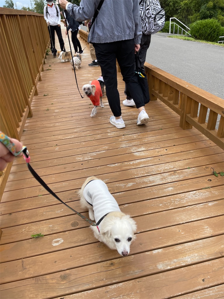 f:id:captaindog082:20210912154606j:image f:id:captaindog082:20210912154606j:image