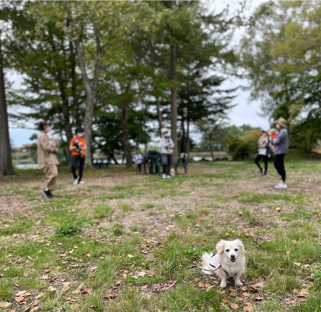 f:id:captaindog082:20210912154611j:image f:id:captaindog082:20210912154611j:image