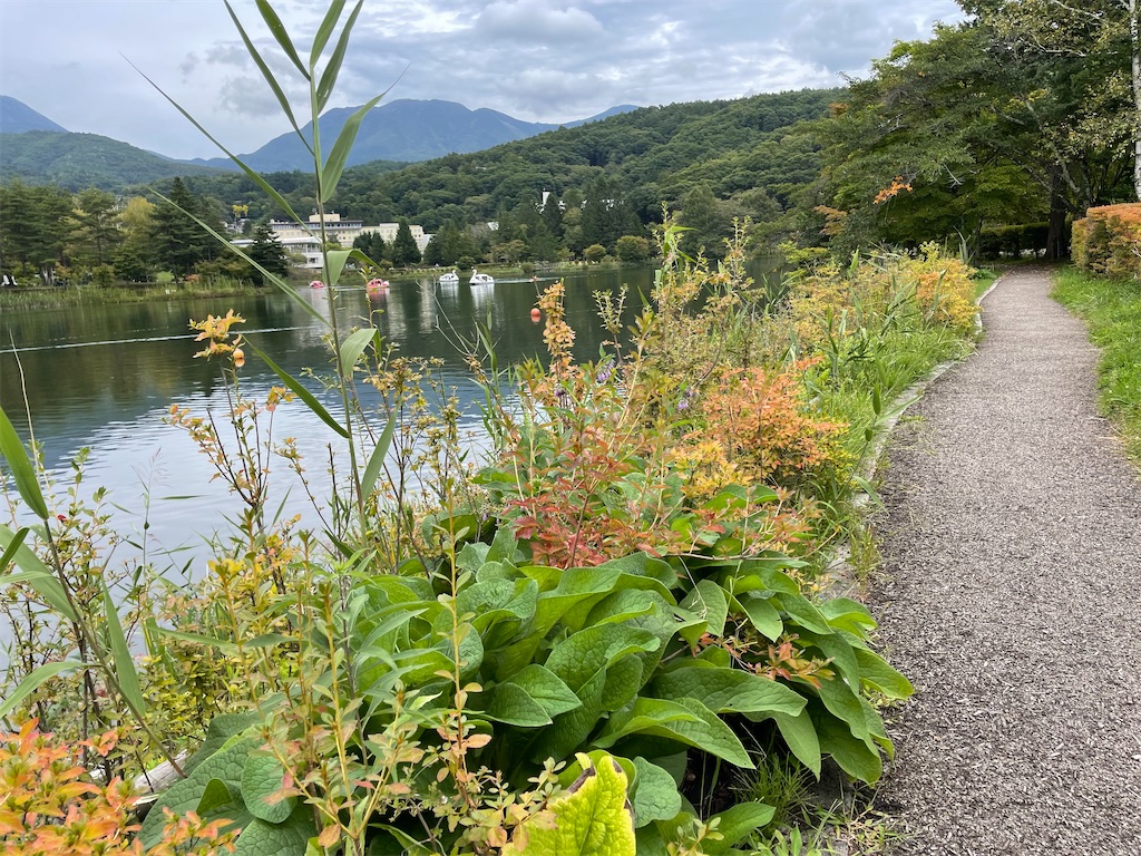 f:id:captaindog082:20210912154614j:image f:id:captaindog082:20210912154614j:image