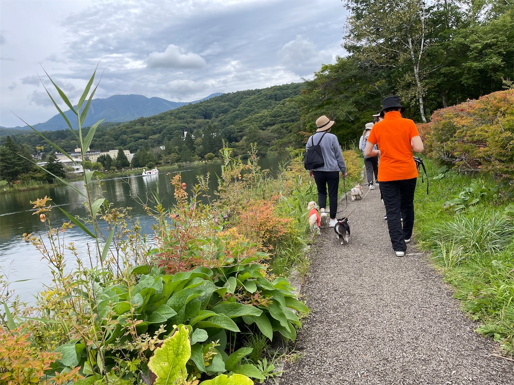 f:id:captaindog082:20210912154618j:image f:id:captaindog082:20210912154618j:image