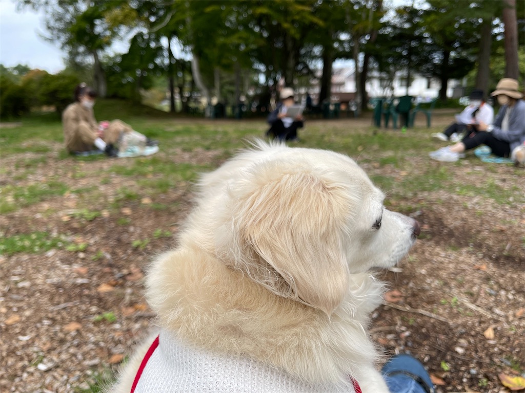 f:id:captaindog082:20210912154623j:image f:id:captaindog082:20210912154623j:image