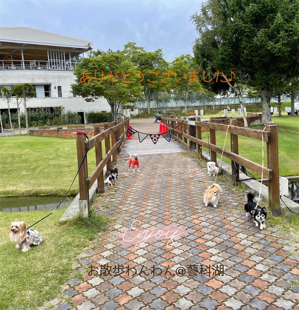 f:id:captaindog082:20210912154631j:image f:id:captaindog082:20210912154631j:image