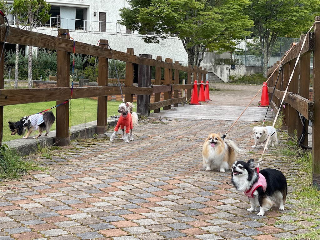 f:id:captaindog082:20210912154636j:image f:id:captaindog082:20210912154636j:image