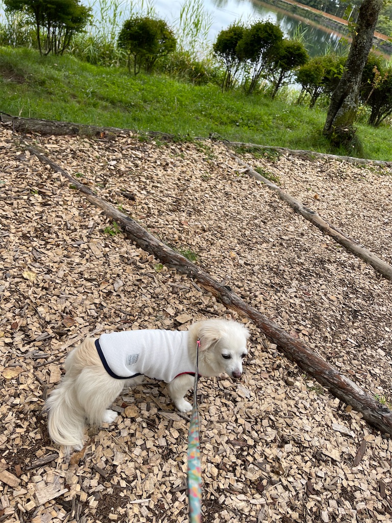 f:id:captaindog082:20210912154706j:image f:id:captaindog082:20210912154706j:image