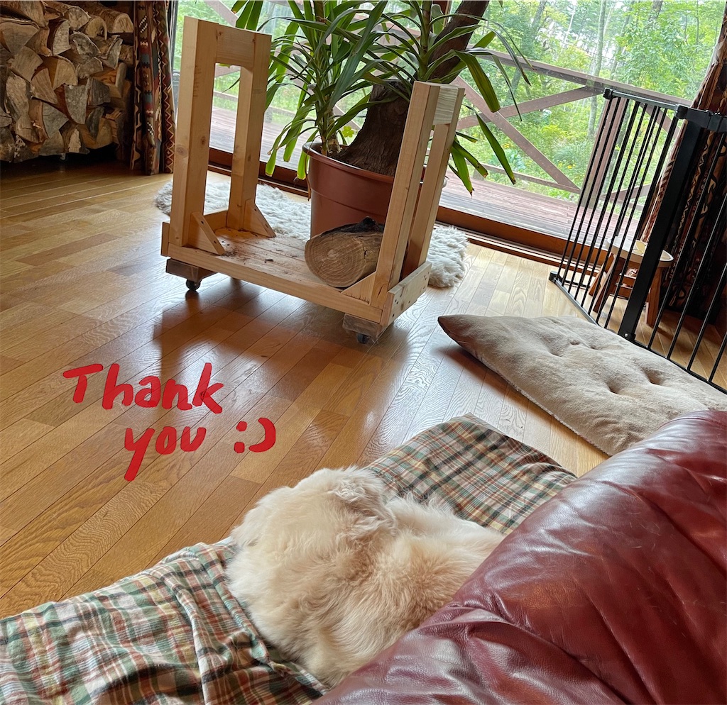 f:id:captaindog082:20210914175211j:image f:id:captaindog082:20210914175211j:image