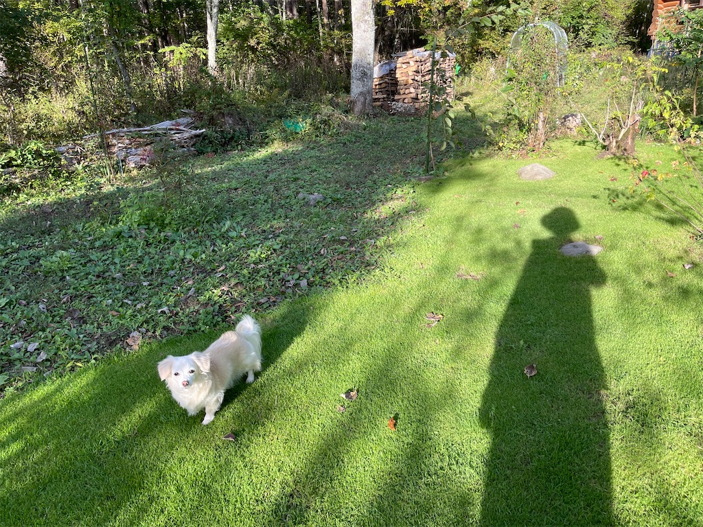 f:id:captaindog082:20211005231127j:image