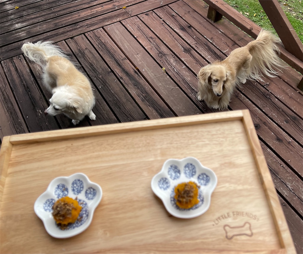 f:id:captaindog082:20211009162050j:image
