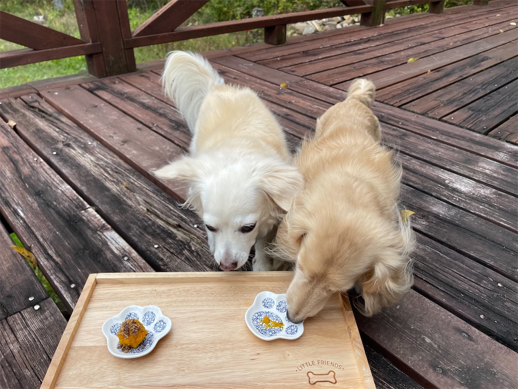 f:id:captaindog082:20211009162053j:image