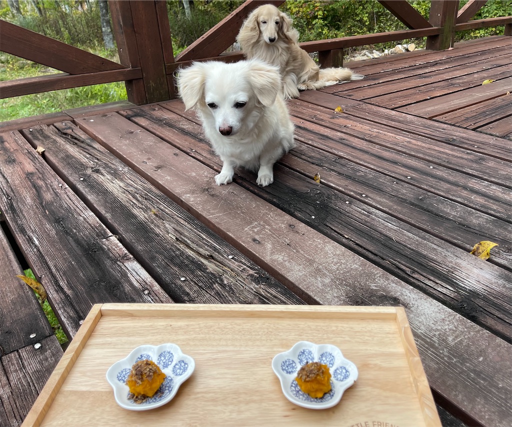 f:id:captaindog082:20211009162058j:image