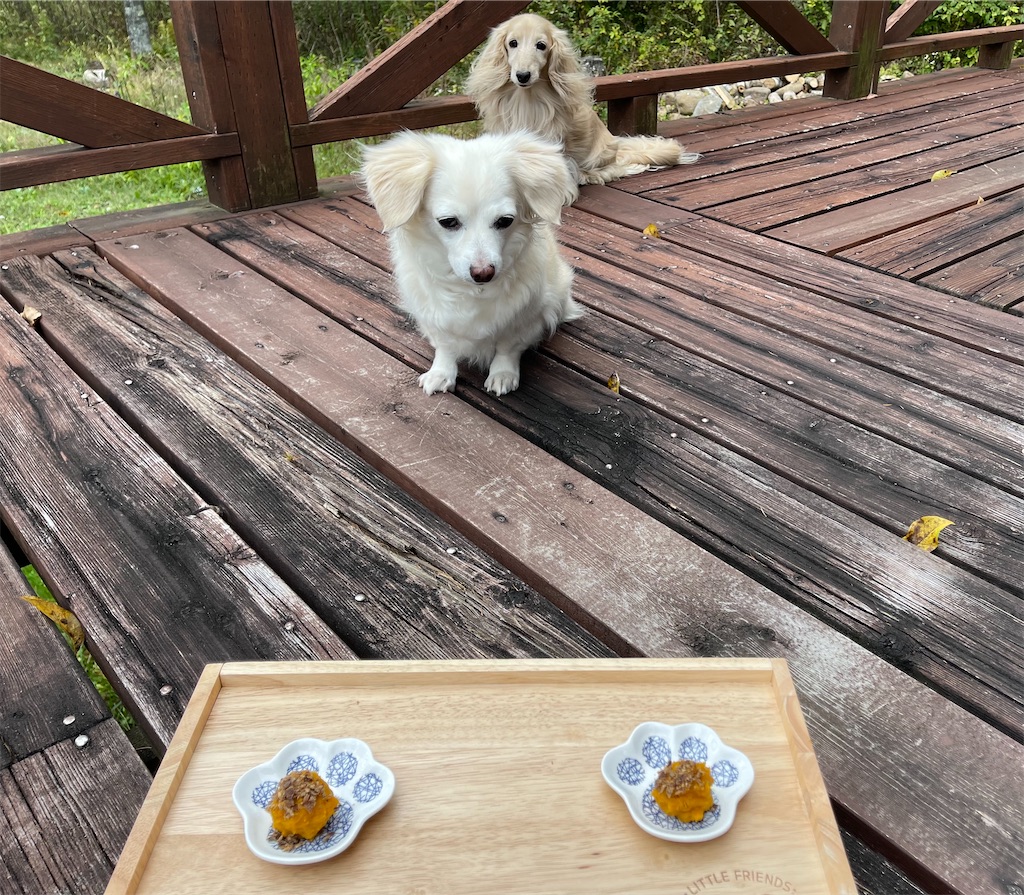 f:id:captaindog082:20211009162103j:image