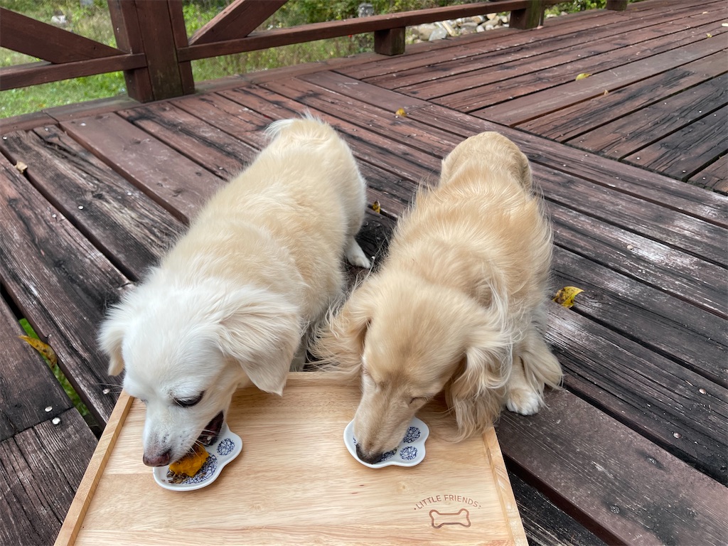 f:id:captaindog082:20211009162108j:image