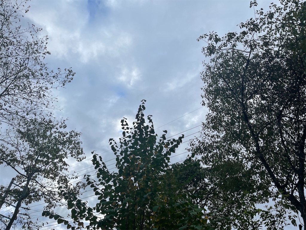f:id:captaindog082:20211019213228j:image
