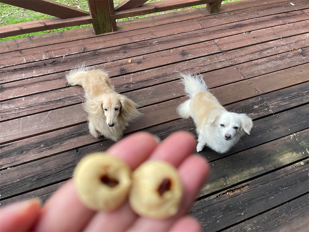 f:id:captaindog082:20211019225010j:image