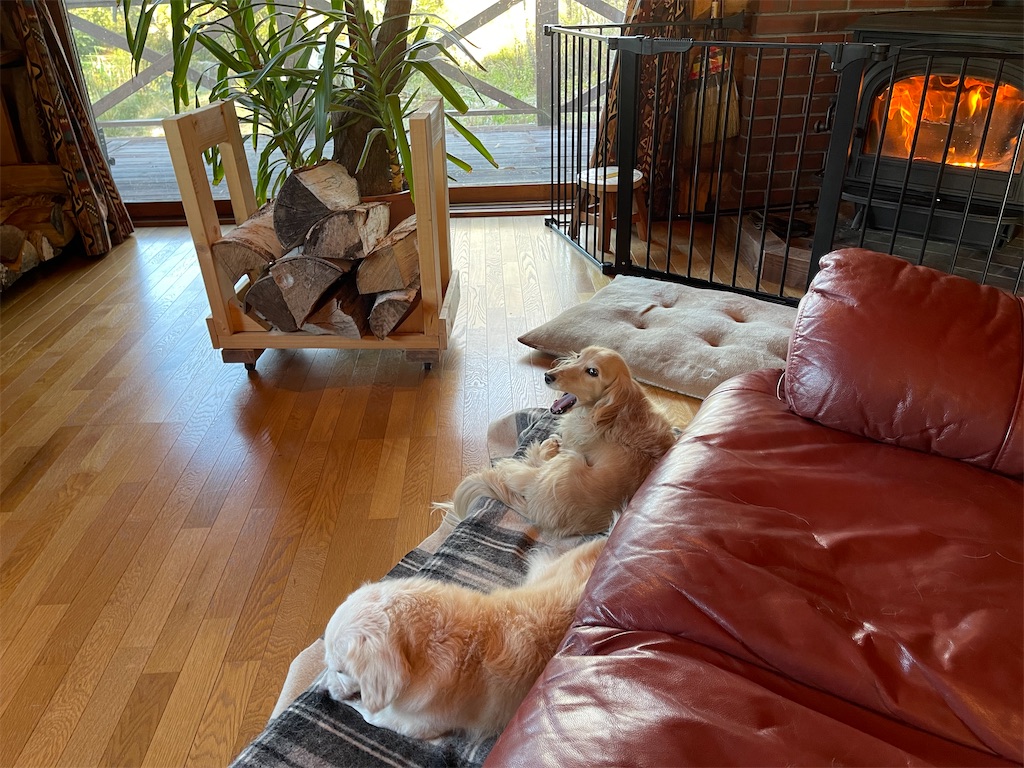 f:id:captaindog082:20211024091620j:image